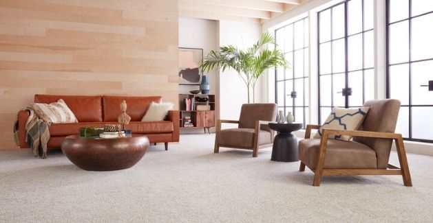 How to Deep Clean Carpet